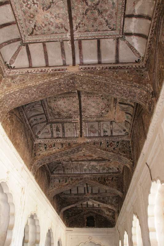 India & Nepal 2011 - 1081